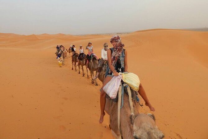 Camel trek with 1 Night in Luxury camp with Dinner+ Sundbording - Highlights & Authentic Experiences