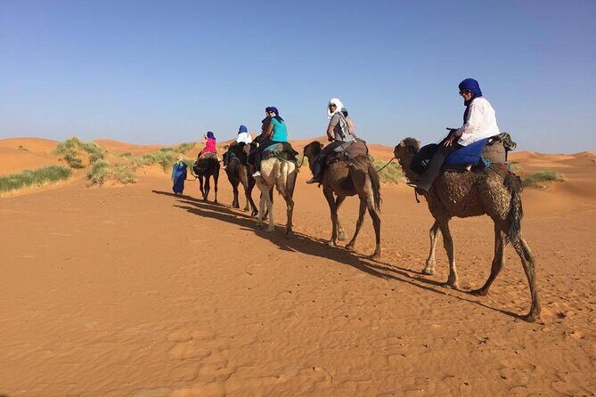 Camel trek with 1 Night in Luxury camp with Dinner+ Sundbording - The Sum Up