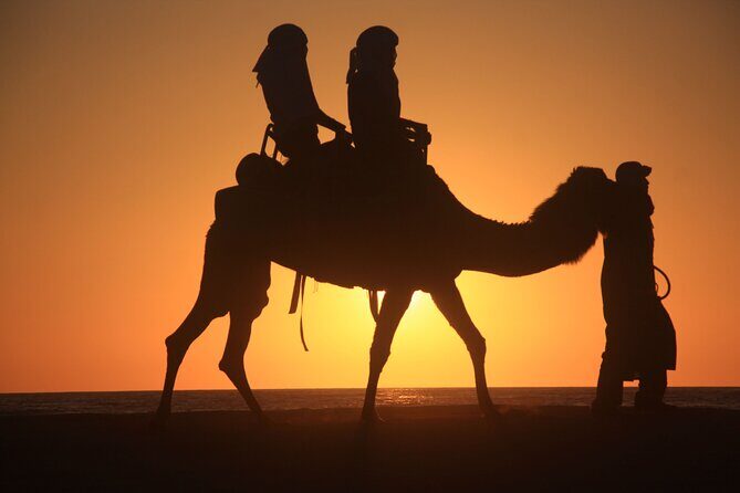 Camel trek with 1 Night in Luxury camp with Dinner+ Sundbording - FAQ