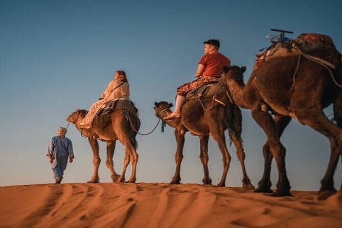 Camel Trekking & 1 Night in Merzouga Desert Camp - An In-Depth Look at the Merzouga Camel Trekking Tour