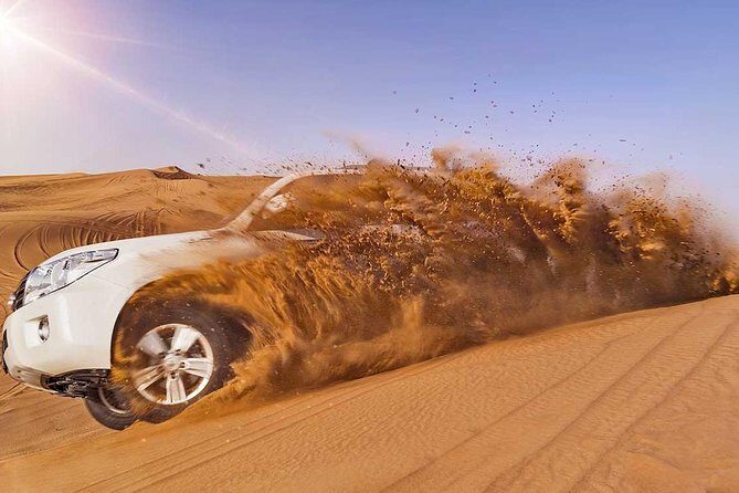 Camel Trekking and Morning Safari with Sand Boarding - Authentic Insights from Reviewers
