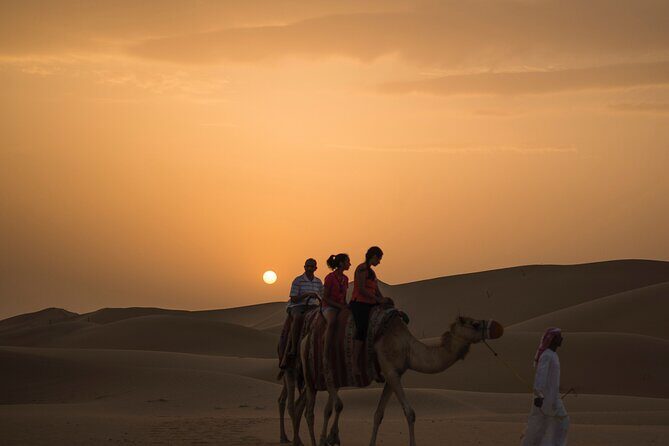 Camel Trekking in Open Red Dunes Desert - An In-Depth Look at the Camel Trekking in Dubais Red Dunes