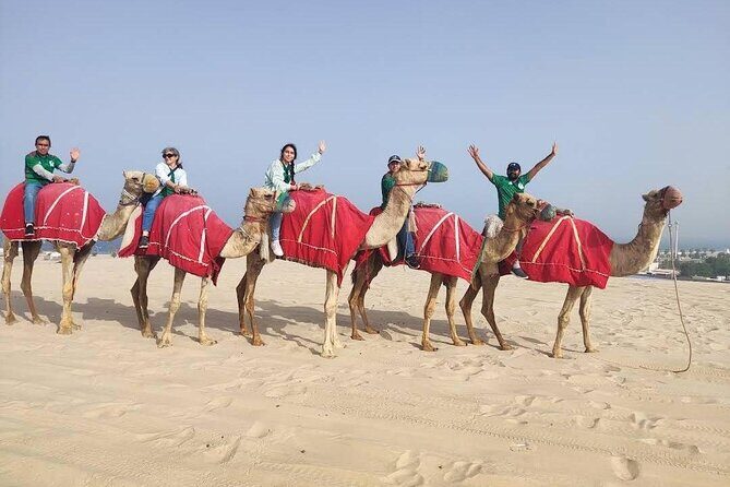 Camel trekking on the Dunes with Sunset - What to Expect from the Camel Trekking Tour