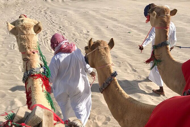 Camel trekking on the Dunes with Sunset - Who Will Enjoy This Tour?