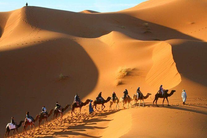 Camel Trekking & Overnight Luxury Camp - Who Should Consider This Tour?