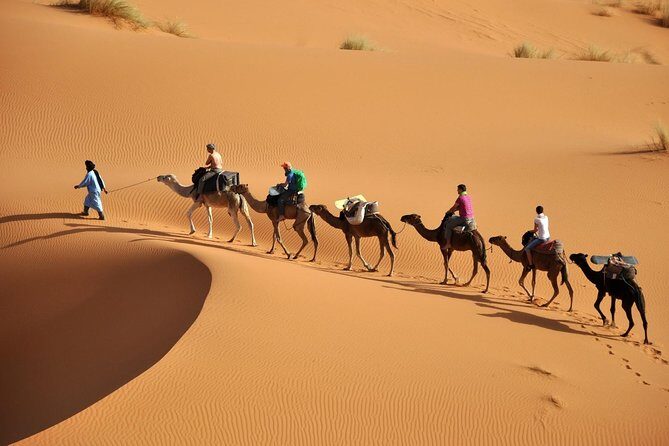 Camel Trekking & Overnight Luxury Camp - Final Thoughts