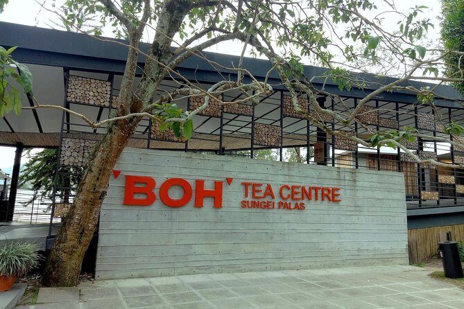 Cameron Highland Day Tour - FAQs