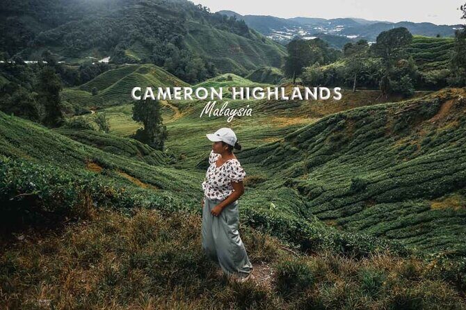 Cameron Highland Day Tour From Kuala Lumpur By Group - Practical Details and What to Expect