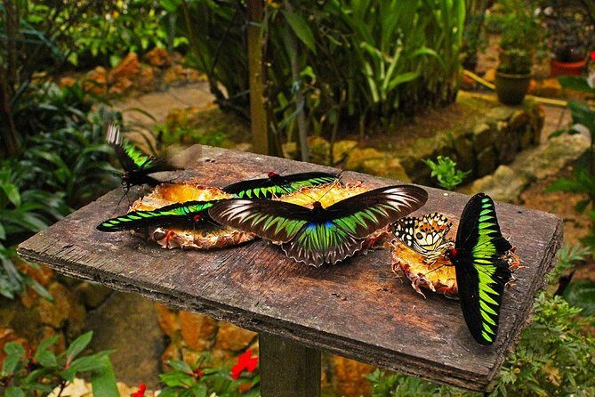 Cameron Highland Day Tour From Kuala Lumpur By Group - Final Thoughts