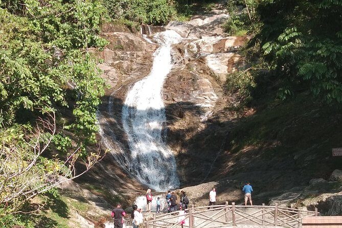 Cameron Highland Day Trip - What to Expect from the Cameron Highland Day Trip