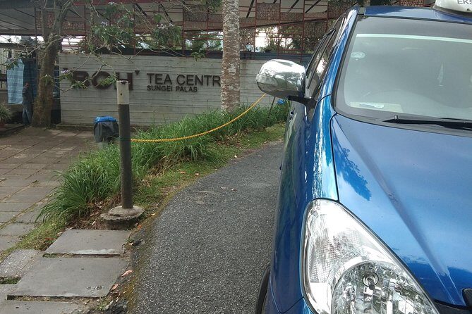 Cameron Highland Day Trip - Who Would Love This Tour?