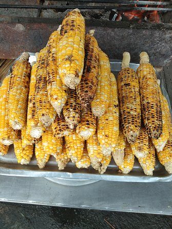 Cameron Highland Day Trip - FAQ