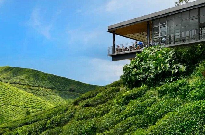 Cameron Highlands Day Tour from Ipoh -Tea Plantation - The Sum Up