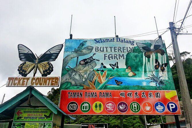 Cameron Highlands Day Tour From Kuala Lumpur 2025 - An In-Depth Look at the Cameron Highlands Day Tour