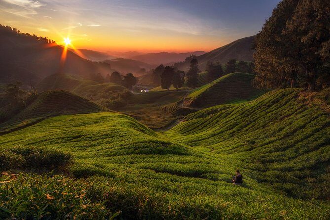 Cameron Highlands Day Tour From Kuala Lumpur (Private Tour) - Key Points