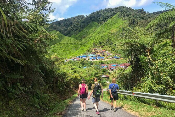 Cameron Highlands Full Day Join in Tour - Authentic Experiences Enhanced by Local Knowledge