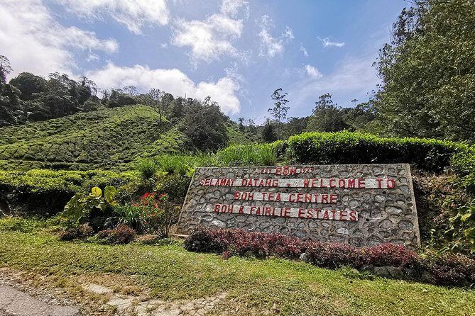 Cameron Highlands Full-Day Nature Tour - A Closer Look at the Cameron Highlands Full-Day Tour