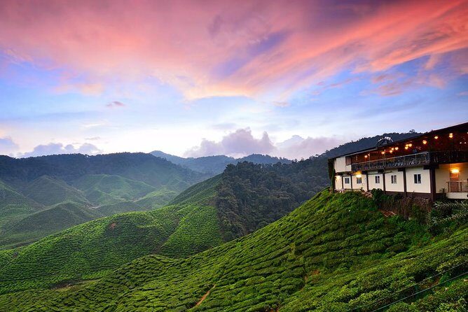 Cameron Highlands Full-Day Tour - Key Points