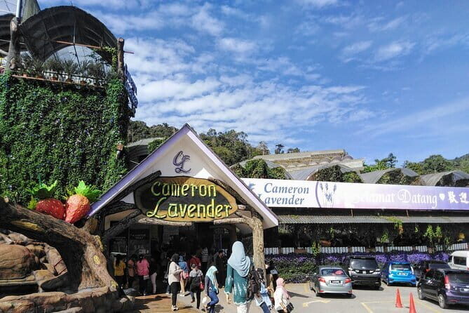 Cameron Highlands Multi Days Tour - A Closer Look at the Cameron Highlands Multi Days Tour