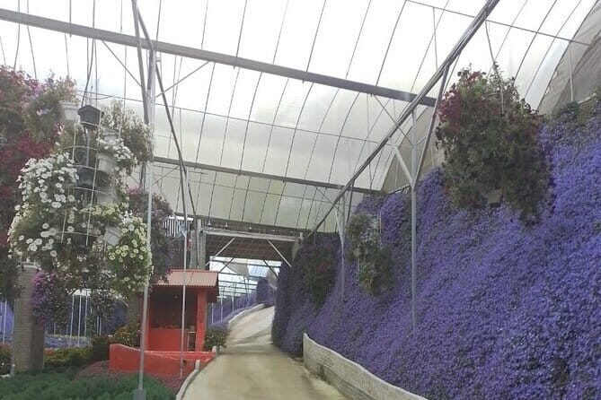 Cameron Highlands Multi Days Tour - Who’s This Tour Best For?