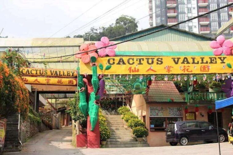 cameron-highlands-private-day-trip