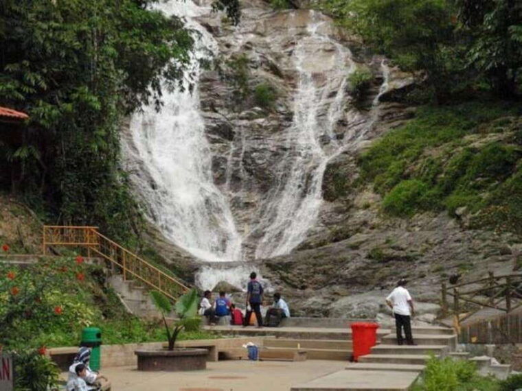 cameron-highlands-private-day-trip