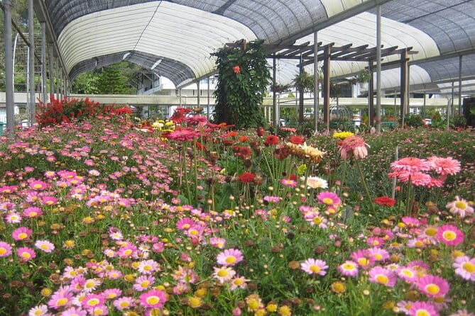 Cameron Highlands Sightseing Tour - Who Will Appreciate This Tour?