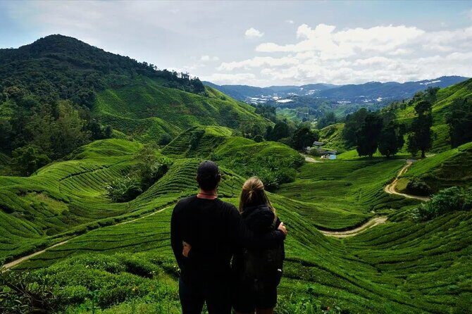 Cameron Highlands Tour from Kuala Lumpur - The Journey Begins: Pickup and Transportation