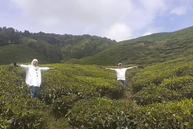 Cameron Highlands Tour From Kuala Lumpur (Special Deal) - Key Points