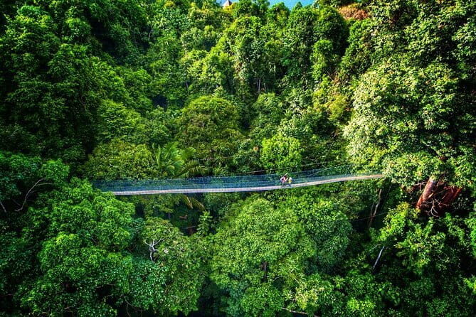 Cameron Highlands Transfer Private (Per Vehicle) - How the Experience Adds Value