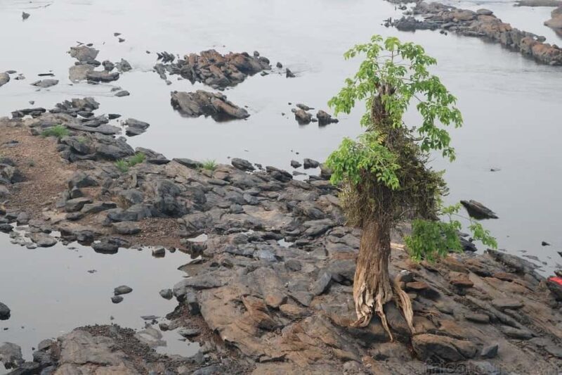 Cameroon: Ebogo Eco-touristic Site - Key Points