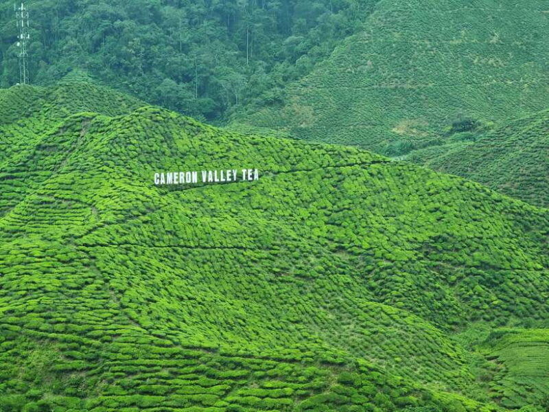 cameroon-highland-best-nature-in-highland