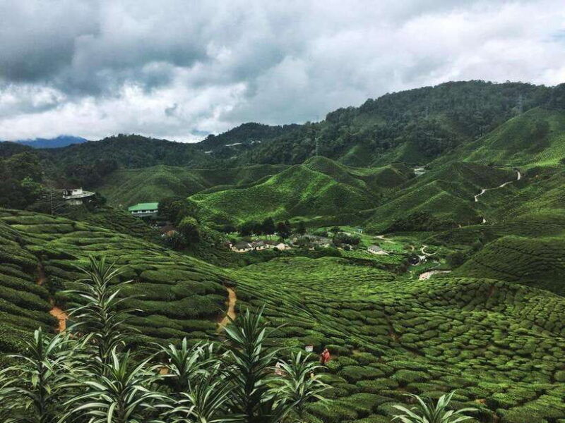 cameroon-highland-best-nature-in-highland