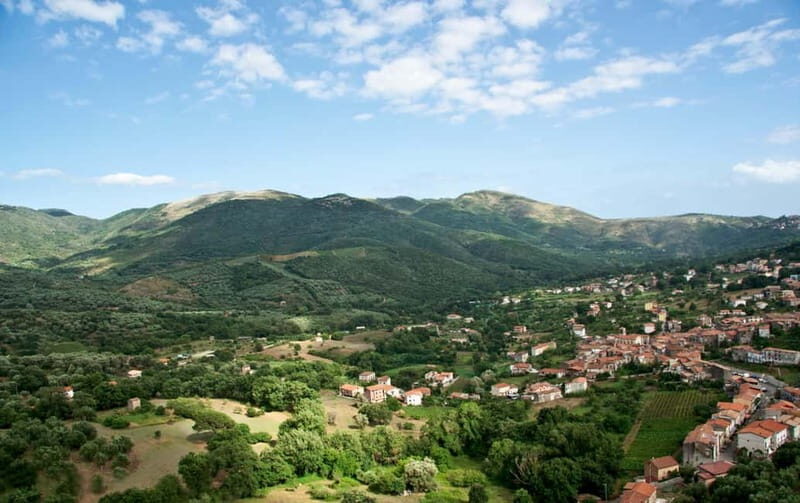 Camerota: Guided wine tasting - Key Points