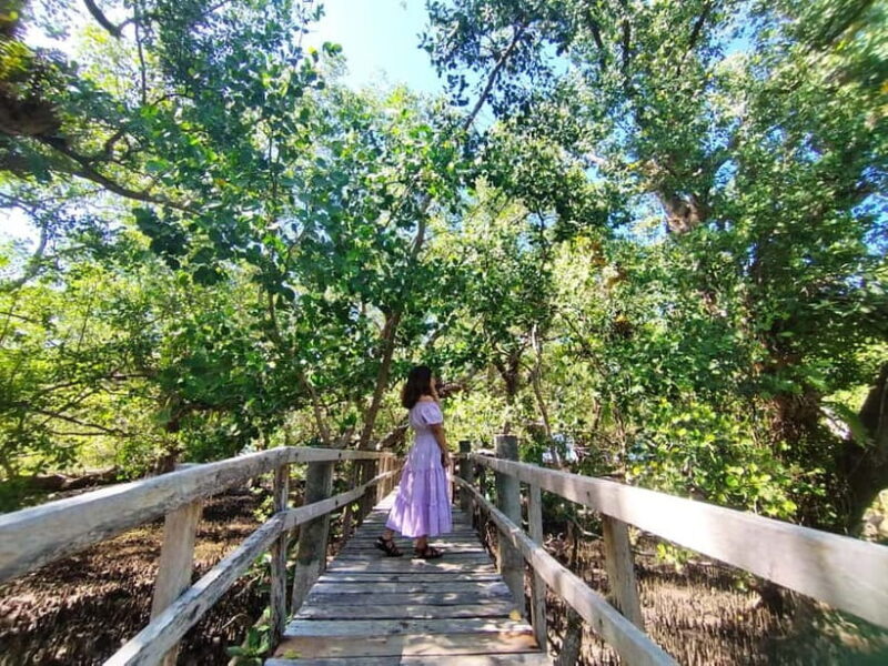 Camiguin: White Island Mantigue Island Exploration PRIVATE - Final Thoughts