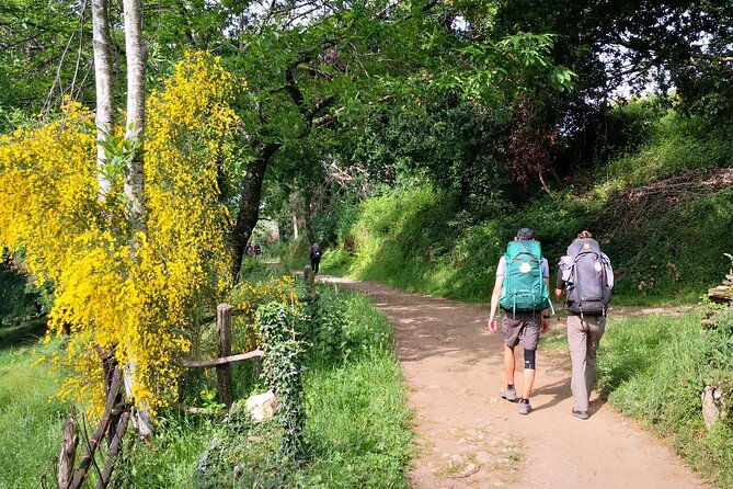 camino-de-santiago-french-from-sarria-to-santiago-de-compostela