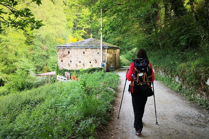 camino-de-santiago-french-from-sarria-to-santiago-de-compostela