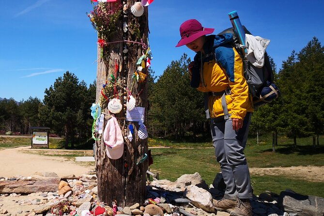 camino-de-santiago-french-from-sarria-to-santiago-de-compostela
