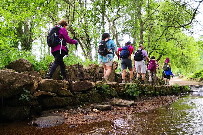 camino-de-santiago-french-from-sarria-to-santiago-de-compostela