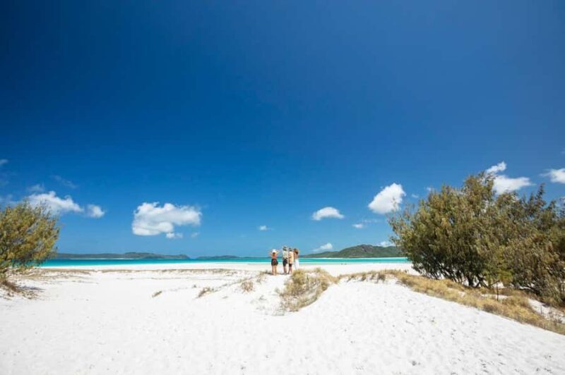 Camira Sunset Sail -Drinks & Snacks -Departing Airlie Beach - The Sum Up