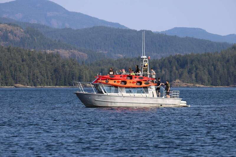 campbell-river-kayaking-and-whale-watching-tour