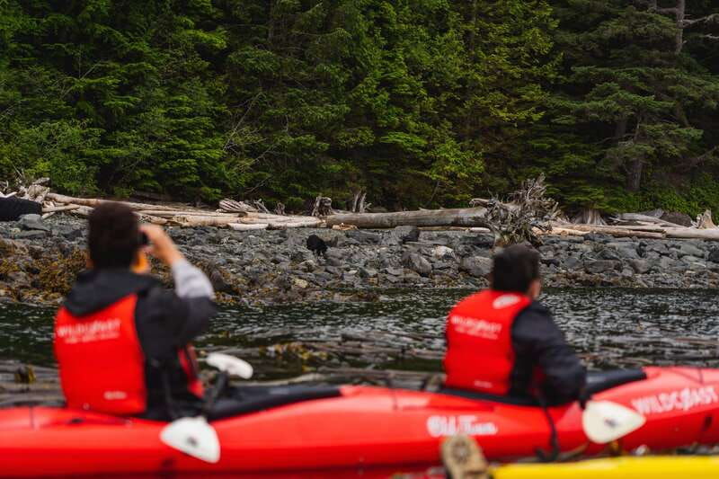 campbell-river-kayaking-and-whale-watching-tour