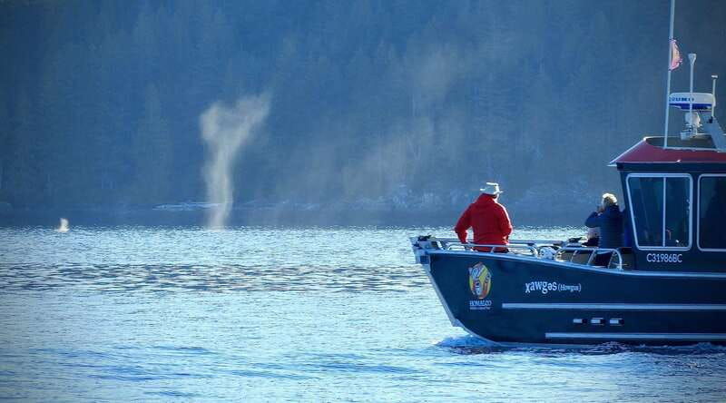 campbell-river-salish-sea-whale-watching-adventure