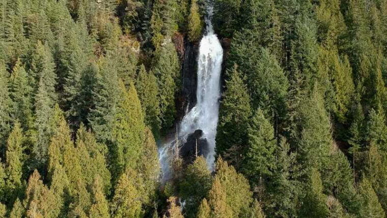 campbell-river-spring-bears-and-waterfalls-guided-boat-tour