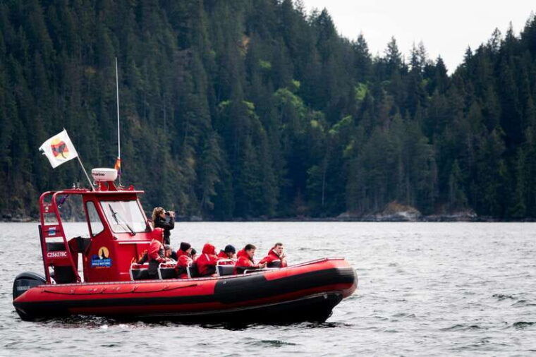 campbell-river-whale-watching-and-wildlife-viewing-day-tour