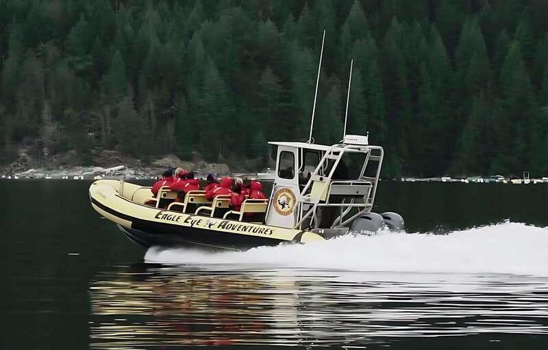 campbell-river-whale-watching-zodiac-boat-tour-with-lunch
