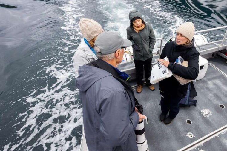 campbell-river-whale-wildlife-discovery-cruise