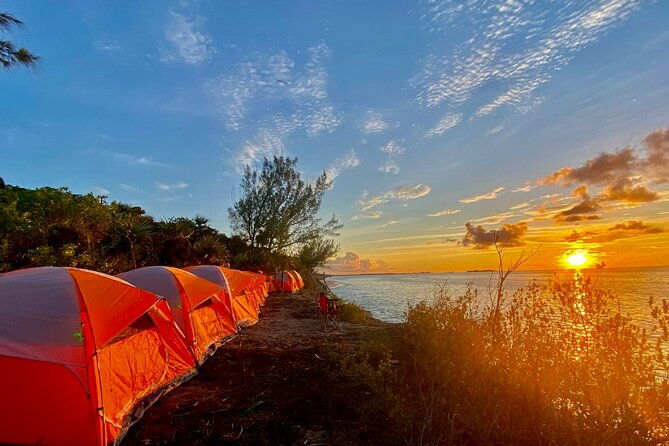 camping-experience-in-paradise