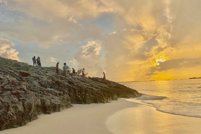 camping-experience-in-paradise