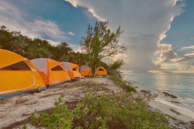 camping-experience-in-paradise